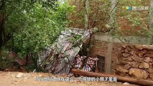 170807万丽q