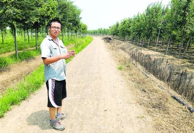 海归青年刘晓和他的农场 海归青年刘晓和他的农场