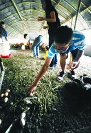 Img353403238 Img353403238