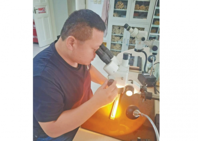微信图片_20260625103719_306_10.png