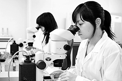 120613创新人才，从何而来？a