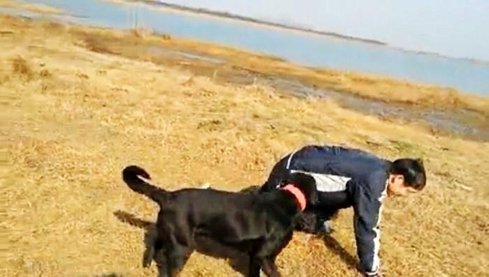 140108范忠信教授在杭州南湖边爬行_conew1