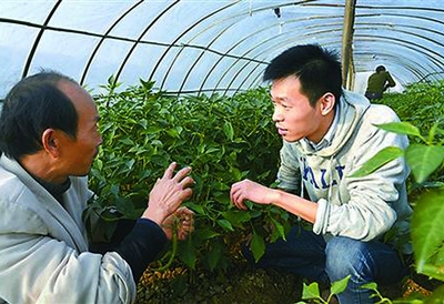 耶鲁大学生村官秦玥飞到田间地头与农民交流种植经验