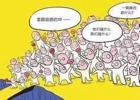 170620e羊群效应