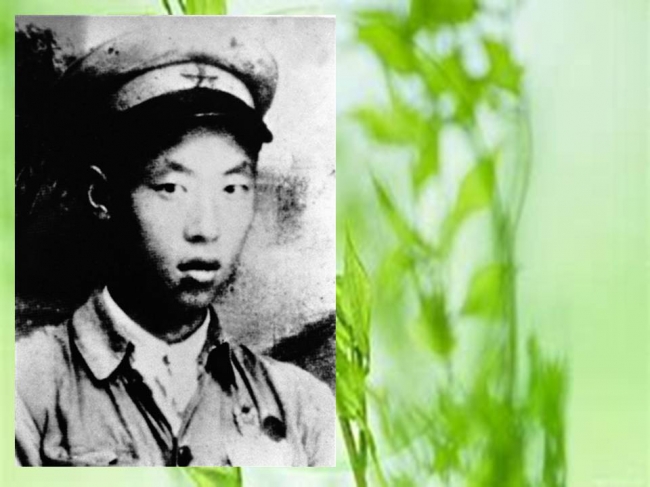 杨春增.jpg