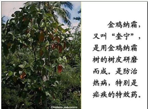 191015屠呦呦t.jpg