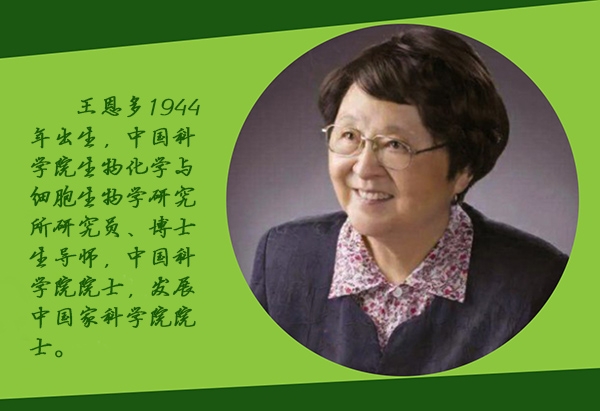 王恩多1944年出生，中国科学院生物化学与细胞生物学研究所研究员、博士生导师，中国科学院院士，发展中国家科学院院士。