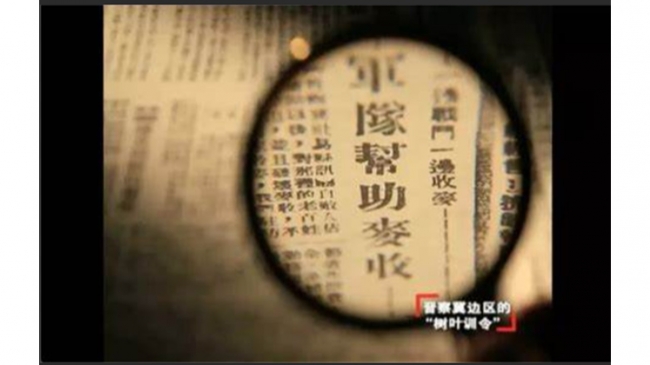 麦收.jpg