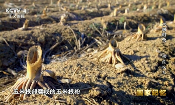 大国粮仓粗粮双王.jpg