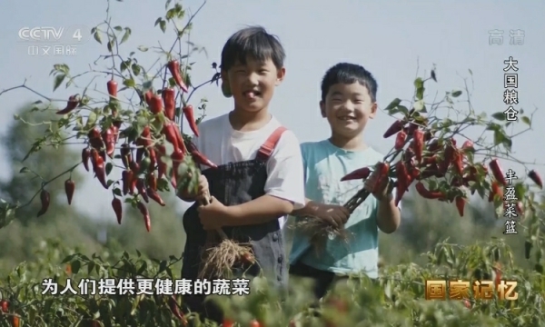 大国粮仓丰盈菜篮.jpg