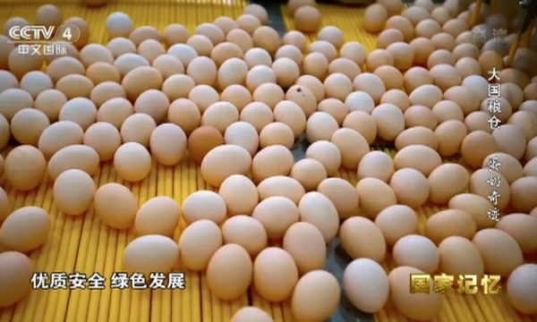 大国粮仓蛋奶奇迹.jpg