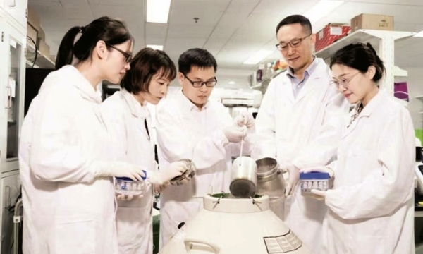 胚胎干细胞嵌合体猴研究团队主要成员,左起：李杰、曹静、刘真、孙强、李春杨。.jpg
