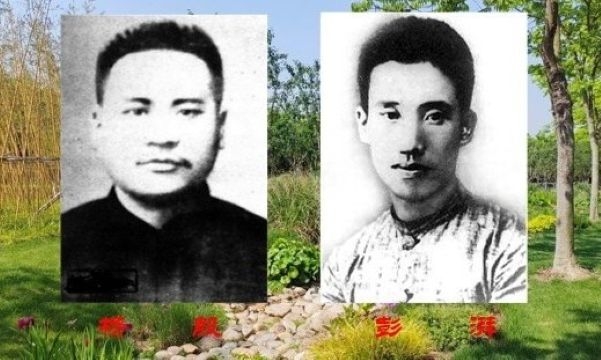 杨殷彭湃-1.jpg