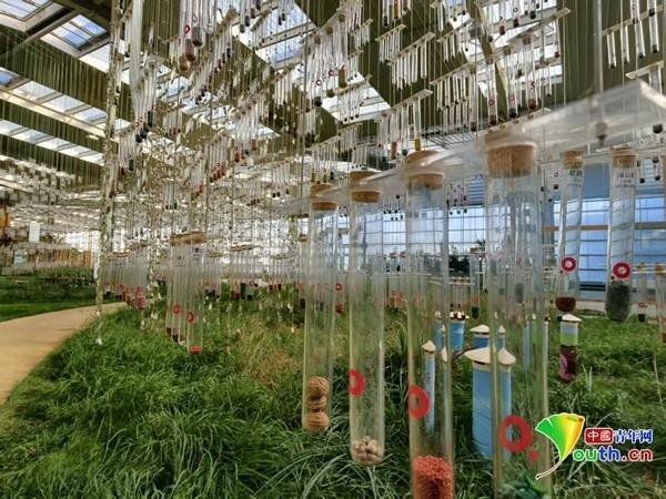 草.jpg