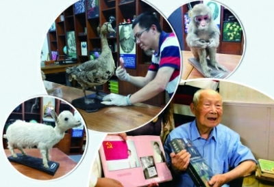 ◆修复人员检查标本近况。◆百岁老人林有禹