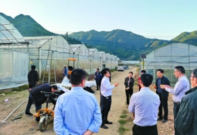 田生科在给慕名而来的参访团讲解柑橘种植 田生科在给慕名而来的参访团讲解柑橘种植